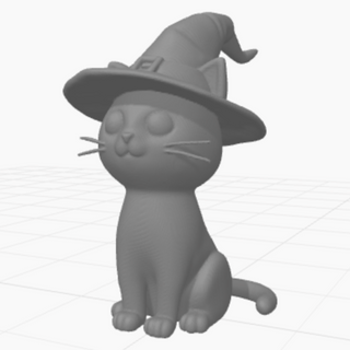 Witch Cat