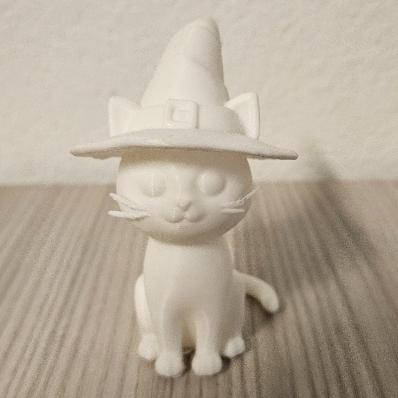 Witch Cat