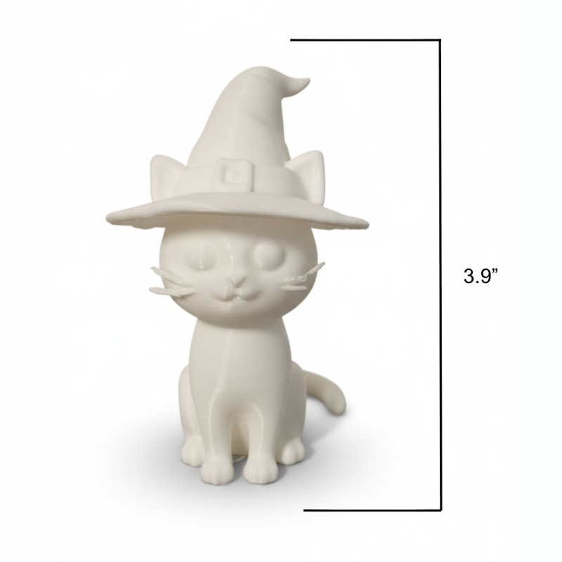 Witch Cat