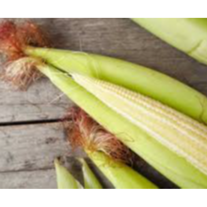 Baby corn Main Image