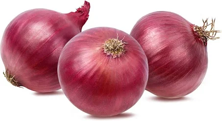 Onion