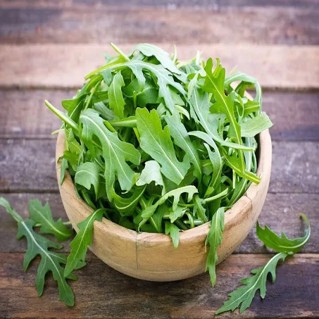 arugula leaf