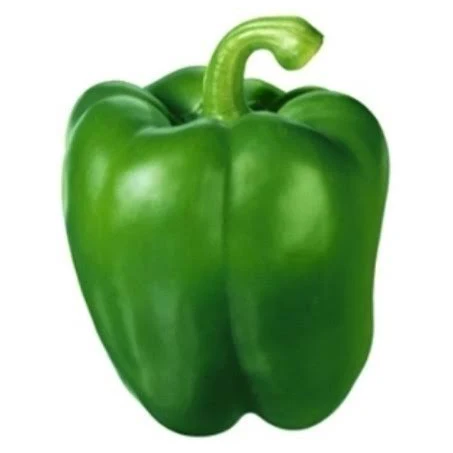 Capsicum green