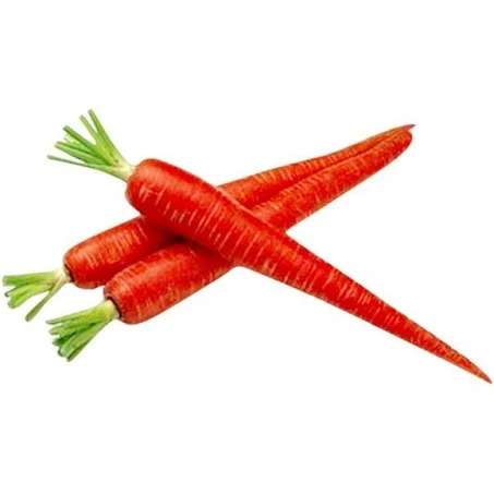 Carrot red