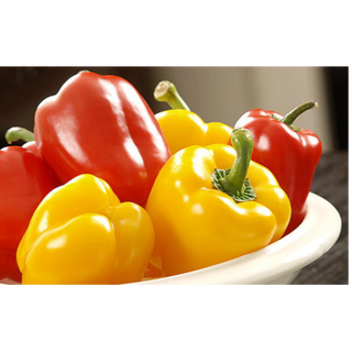 Capsicum Colored