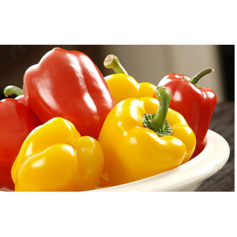 Capsicum Colored Main Image