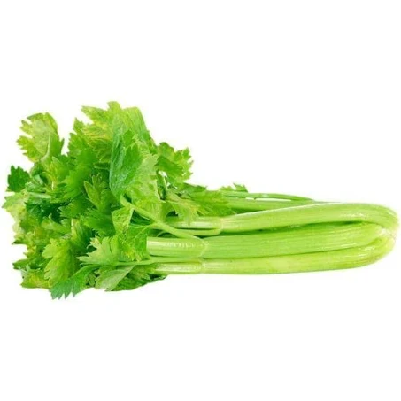 Celery