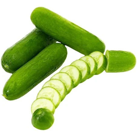 Snacking cucumber