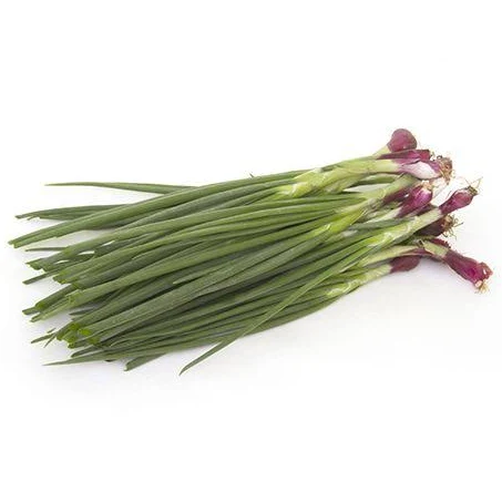 Green onion leaf