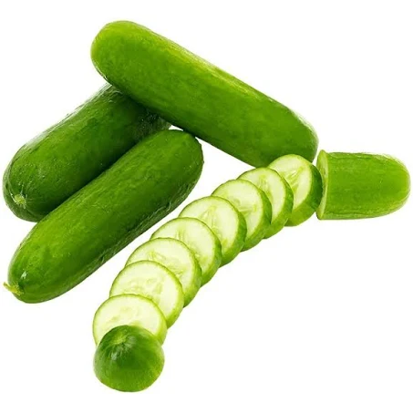 Seedless cucumber