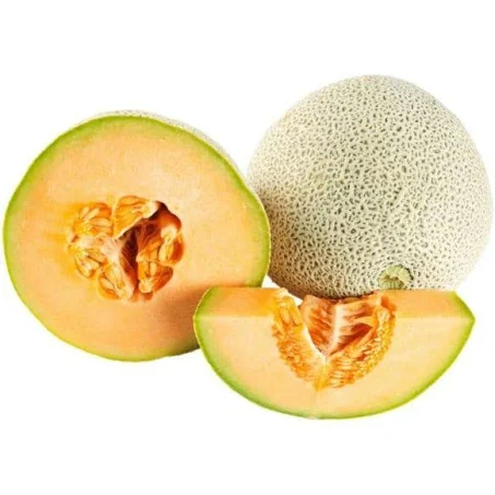 Muskmelon