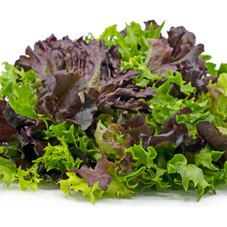 Lettuce mix leaf