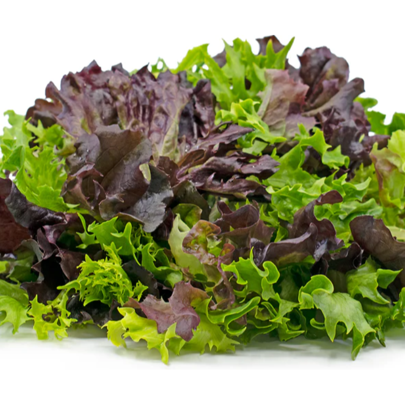 Lettuce mix leaf Main Image