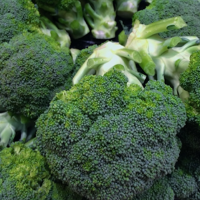 Broccoli Main Image