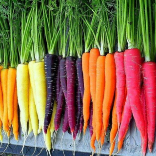 Assorted Baby Carrots - Thumbnail 2