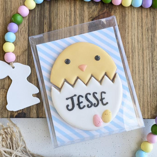 Large Customizable Chick in Egg