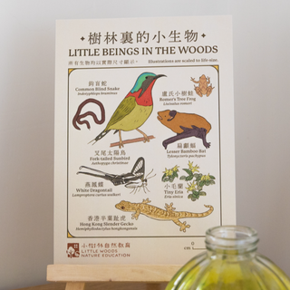 小生物明信片 Postcard (Little Beings in the Woods)