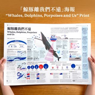 「鯨豚離我們不遠」保育海報 ″Whales, Dolphins, Porpoises and Us″ Print 