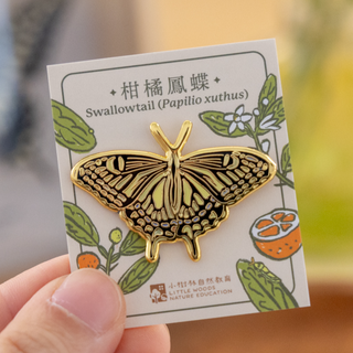 蝴蝶襟章 Butterfly Pin