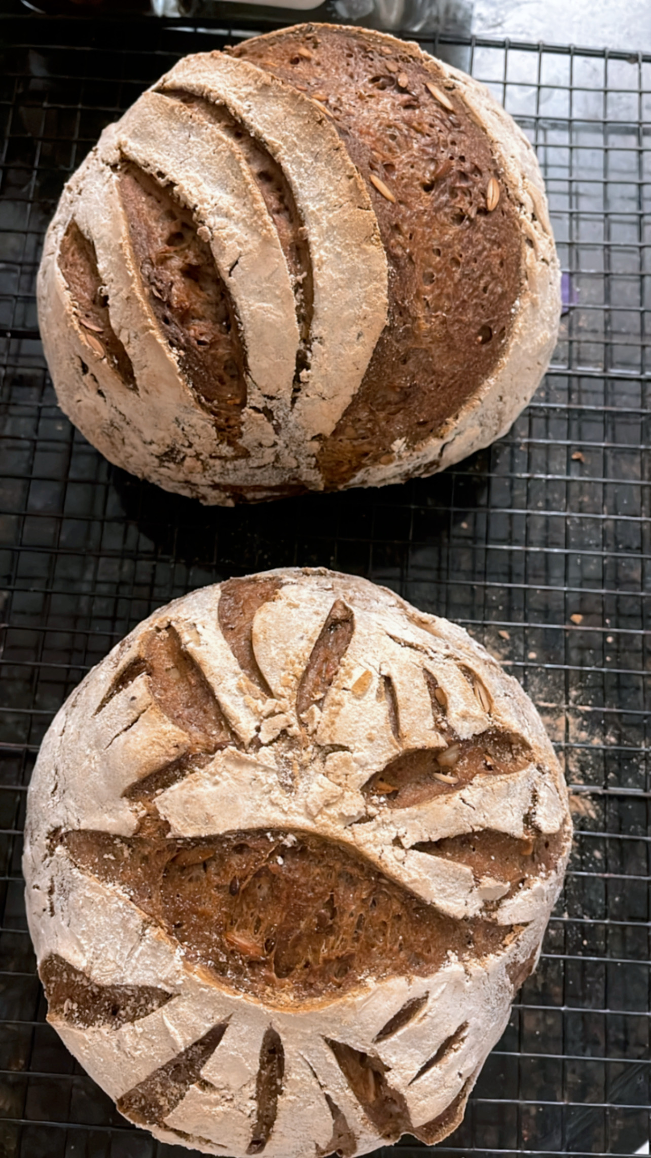 Rye Bread Main Image