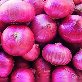 Onion (સૂકી ડુંગળી)