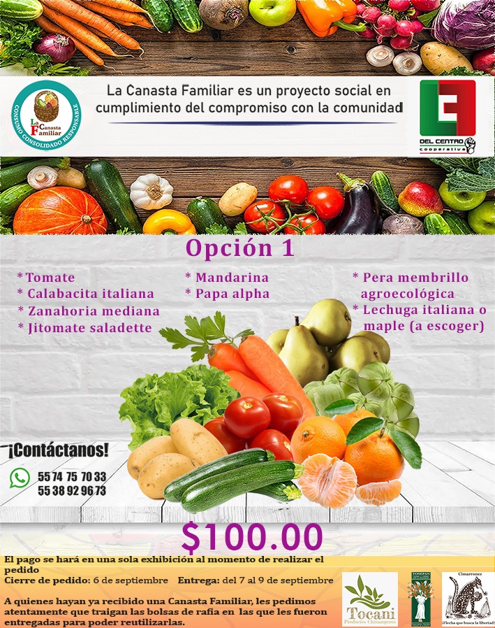 CANASTA FAMILIAR OPCIÓN 1