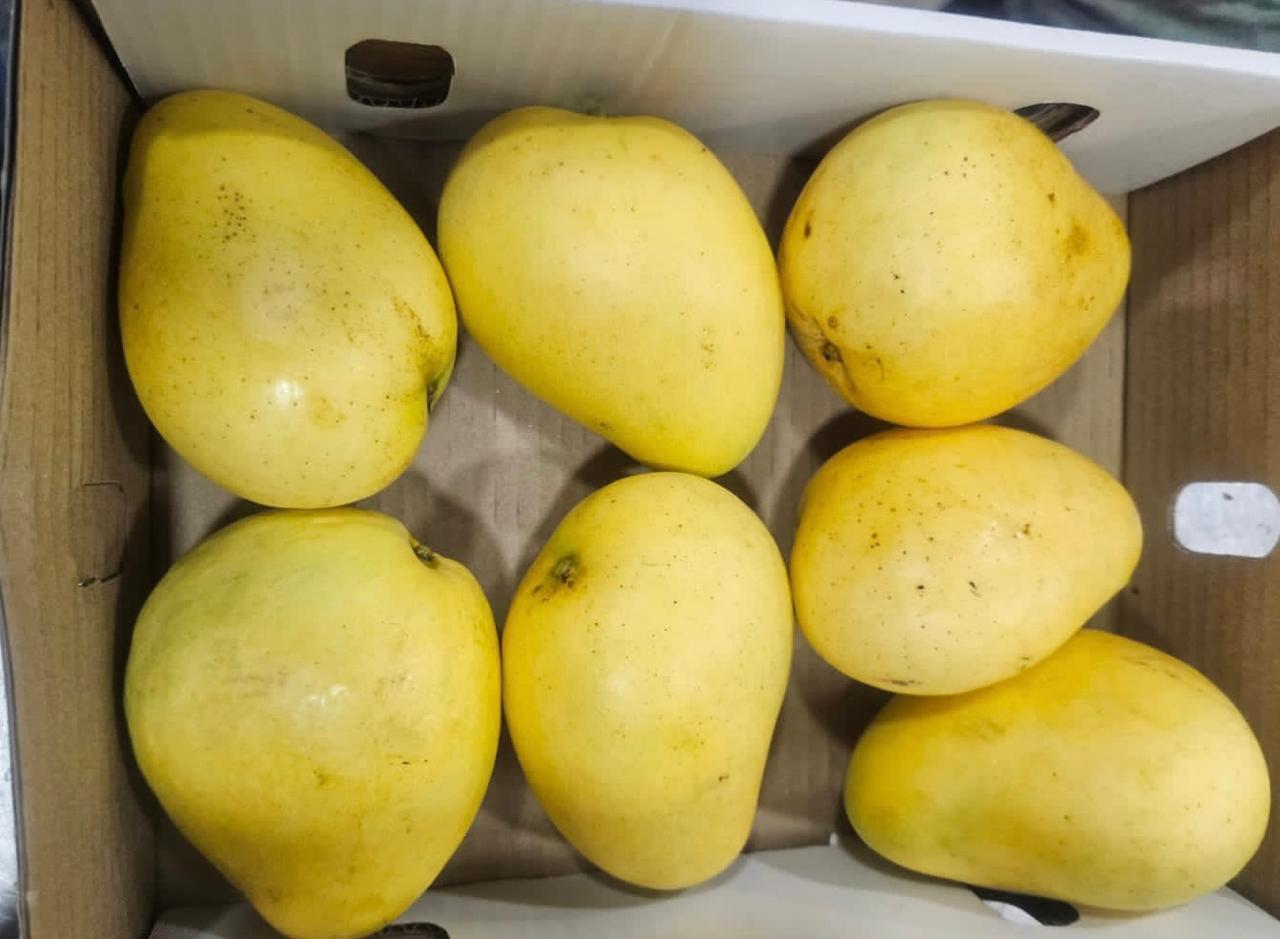 Mangoes