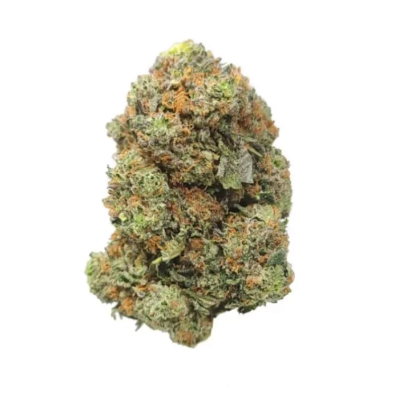 FLOWER_HYBRID-INDICA DOM_PINK GAS_THC 19-26%