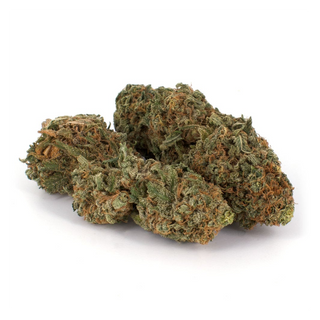 FLOWER_HYBRID_PLUSH BERRY_THC 22-24%