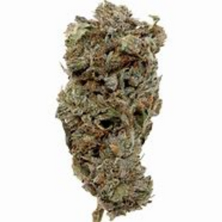 FLOWER_HYBRID_OG PINK KUSH_THC 22-27%