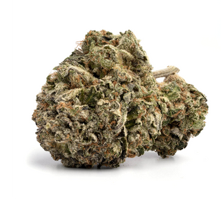 FLOWER_HYBRID INDICA DOM_GUSHERS_THC 24-26%