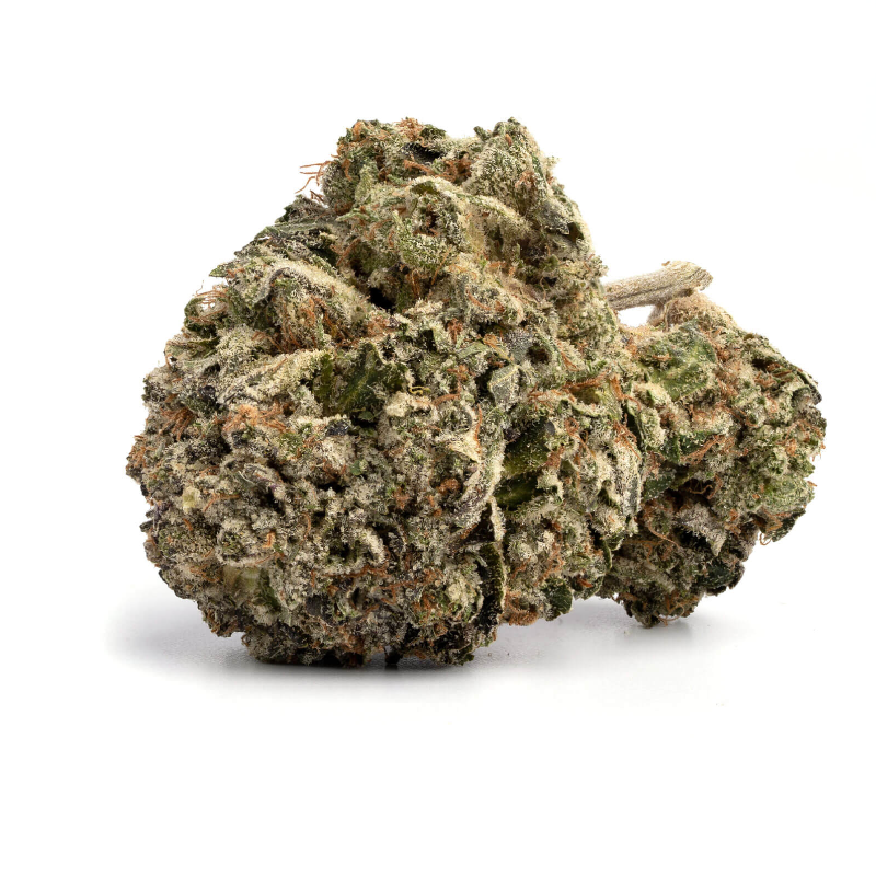 FLOWER_HYBRID INDICA DOM_GUSHERS_THC 24-26%