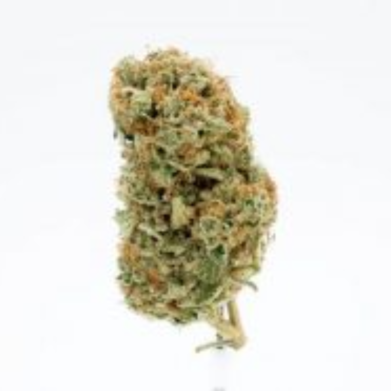 FLOWER_HYBRID INDICA DOM_ASTRO PINK_THC 25-27%