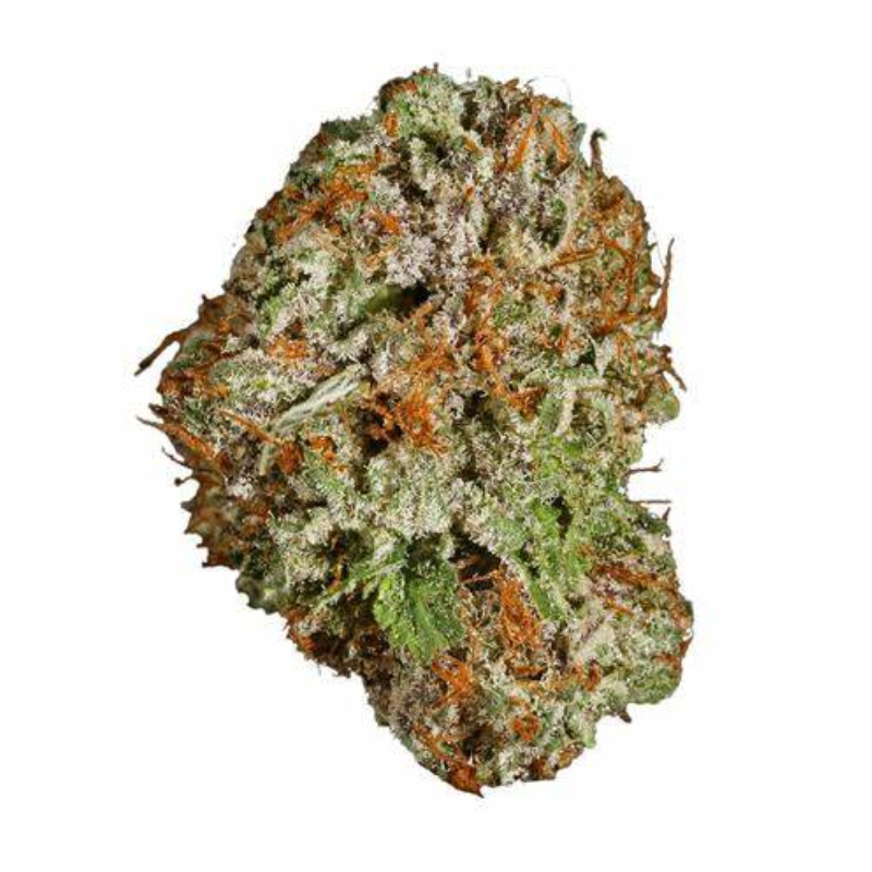 FLOWER_HYBIRD INDICA_DOM_WHITE RUNTZ THC 23-26%
