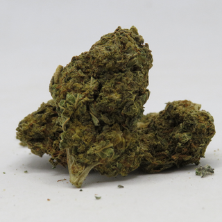FLOWER_HYBRID INDICA DOM_CHEM DOG_THC 19-23%