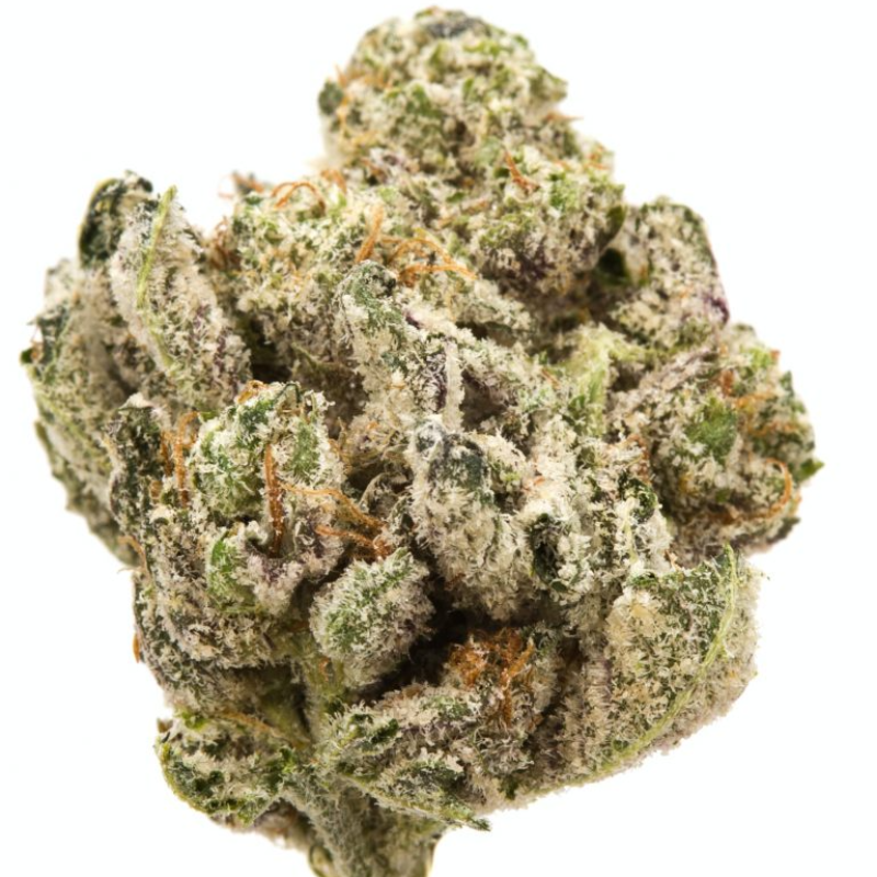FLOWER_HYBRID_PLATINUM GARLIC_THC 22-30%