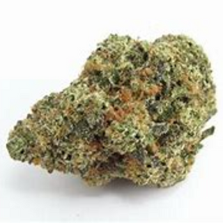 FLOWER_HYBRID_CITRUS GLUE THC 20-24%