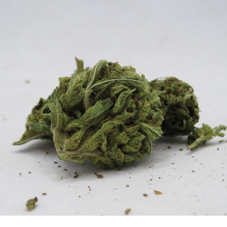 FLOWER_HYBRID INDICA DOM_BLACK GELATO_THC 15-25%