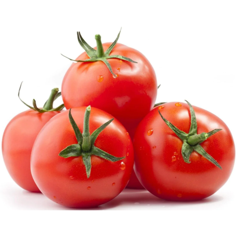 Tomato Main Image