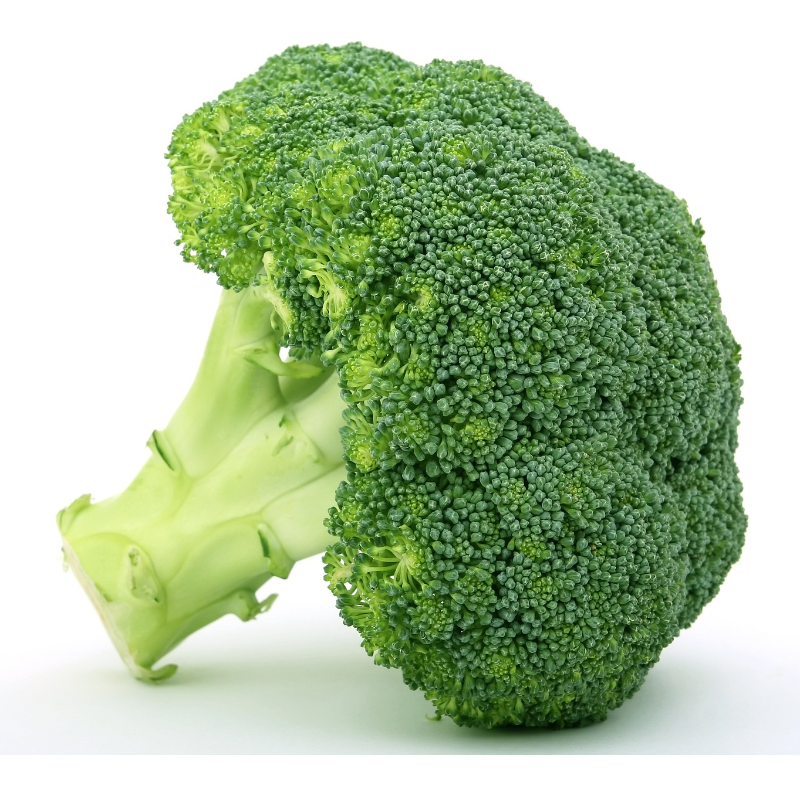 Broccoli Main Image