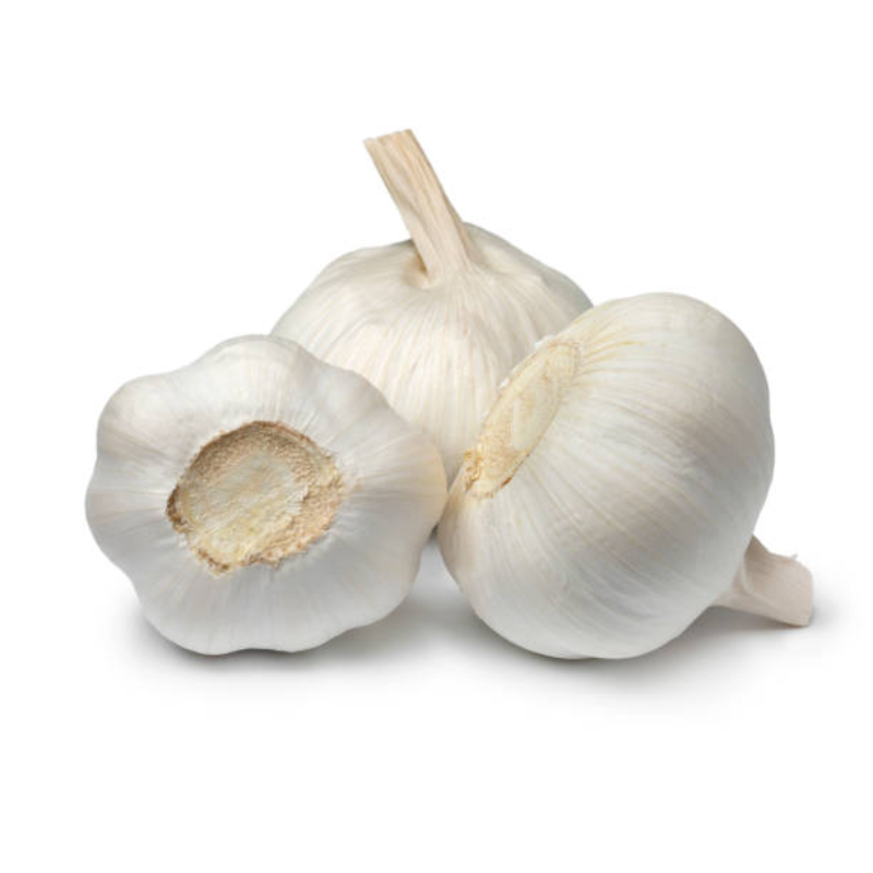 Garlic Main Image