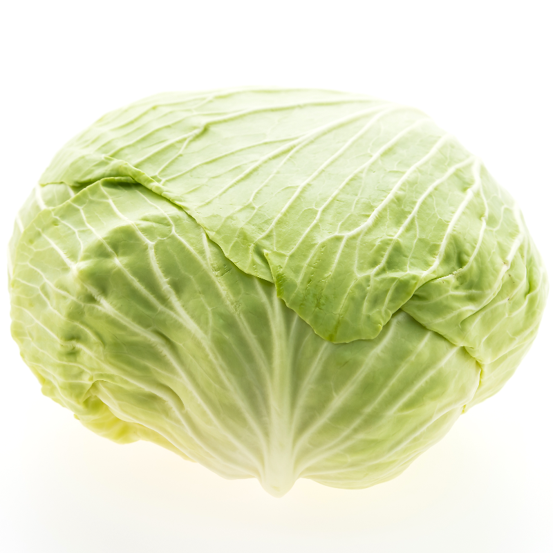 Cabbage Main Image