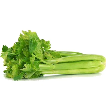 Celery