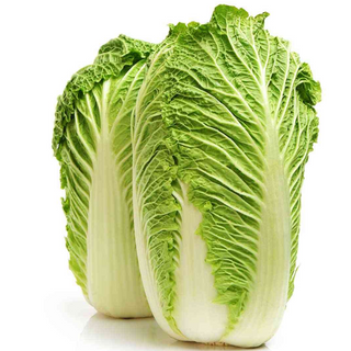 Chinese Cabbage