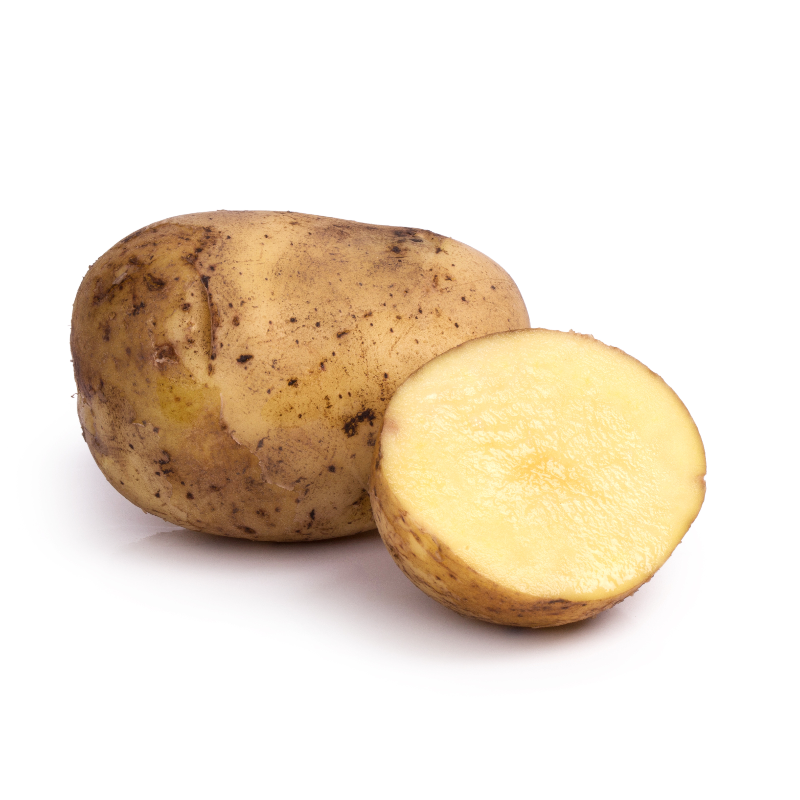 Potato Main Image