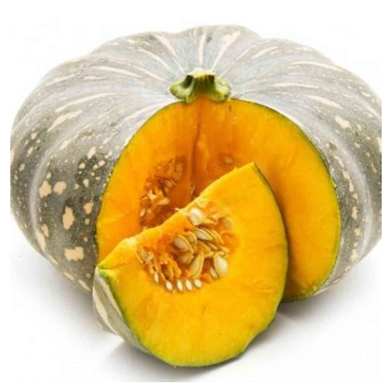 Squash Main Image