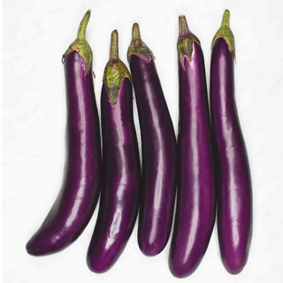 Eggplant