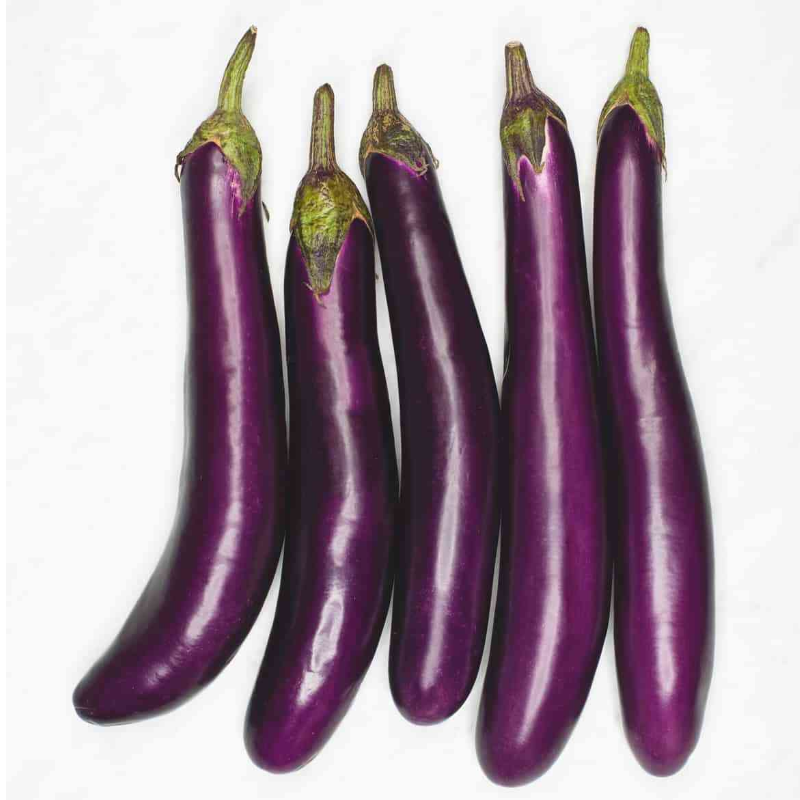 Eggplant Main Image