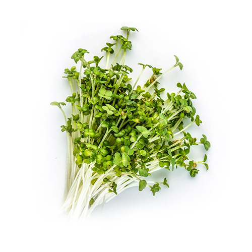 Microgreen Caisim (PreOrder 7 hari) Main Image