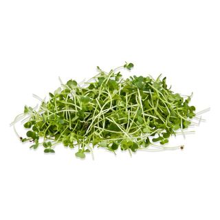 Microgreen Pakcoy (PreOrder 7 hari)